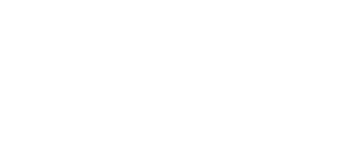 Mad Bites Burger
